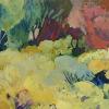 fynbos landscape II