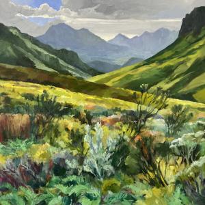 Palmiet River Valley
