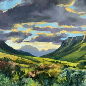 Kogelberg Evening