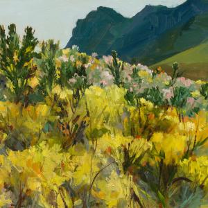 Sunlit Skyline, Kogelberg