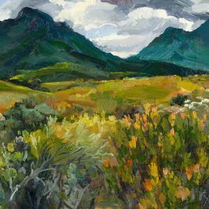 Rain clouds, Kogelberg