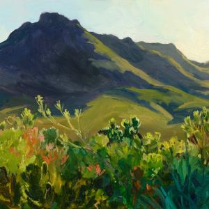 Morning mountain, Kogelberg