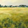 Rondebosch Common Morning