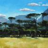 Pine Layers