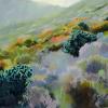Sunlit Hillside