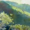 Lucadendron Hillside Sketch