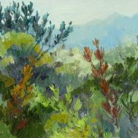 Kasteel Fynbos