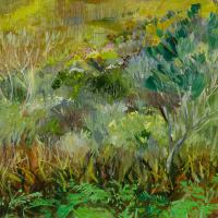 Bracken