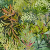 Dusky fynbos