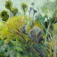Fynbos Bushes