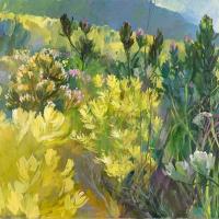 Kogelberg Fynbos
