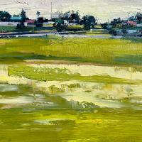 Swamp Field