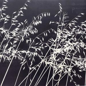 Kasteelberg Grasses V (A06)