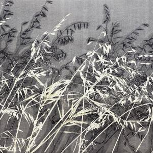 Kasteelberg Grasses VI (A07)