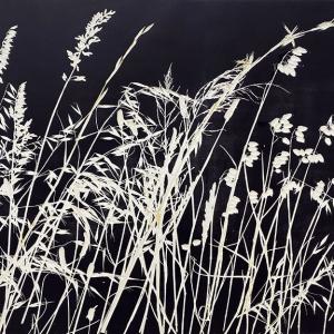Kasteelberg Grasses I (A08)