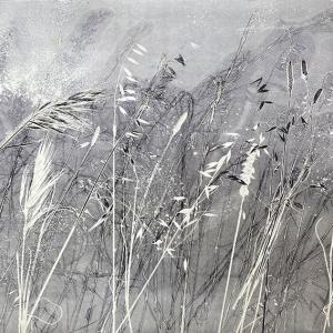 Kasteelberg Grasses III (A10)