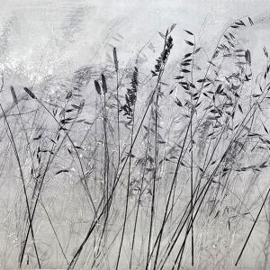 Kasteelberg Grasses IV (A11)