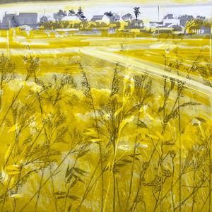Urban Grasses II (B02)