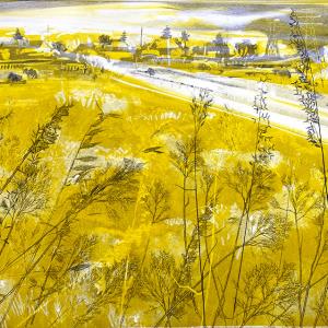 Urban Grasses IV (B04)