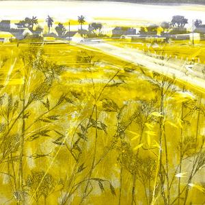 Urban Grasses VI (B06)