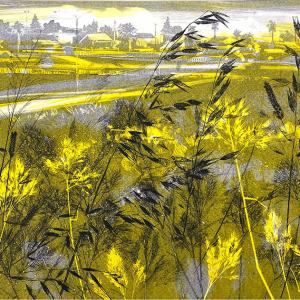 City Grasses II (B08)