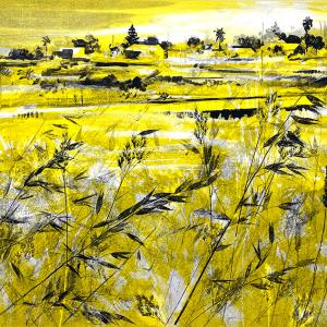 City Grasses V (B11)