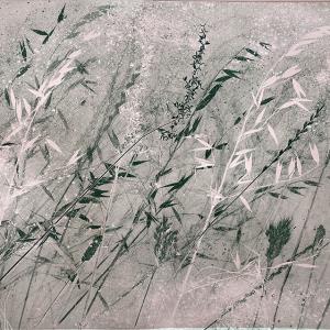 Dusky Grasses IV (B15)