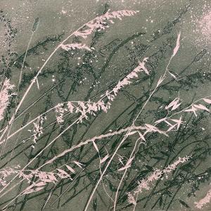 Dusky Grasses VI (B17)