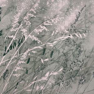 Dusky Grasses X (B21)
