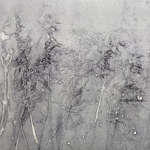 Summer Grasses II (C02)
