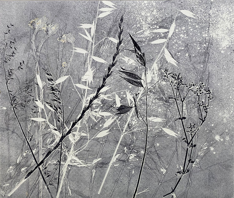 Summer Grasses V (C05)