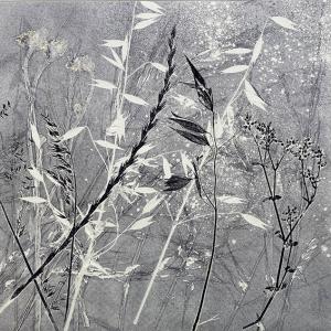 Summer Grasses V (C05)