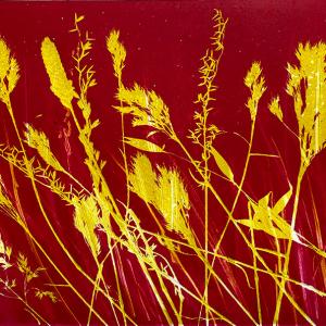 Yellow Grasses IV (D04)