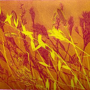 Yellow Grasses V (D05)