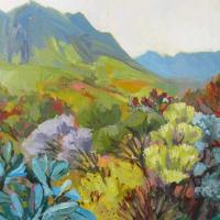 Jonkershoek Fynbos
