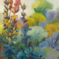 Lucadendrons
