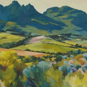 Mountain Fields